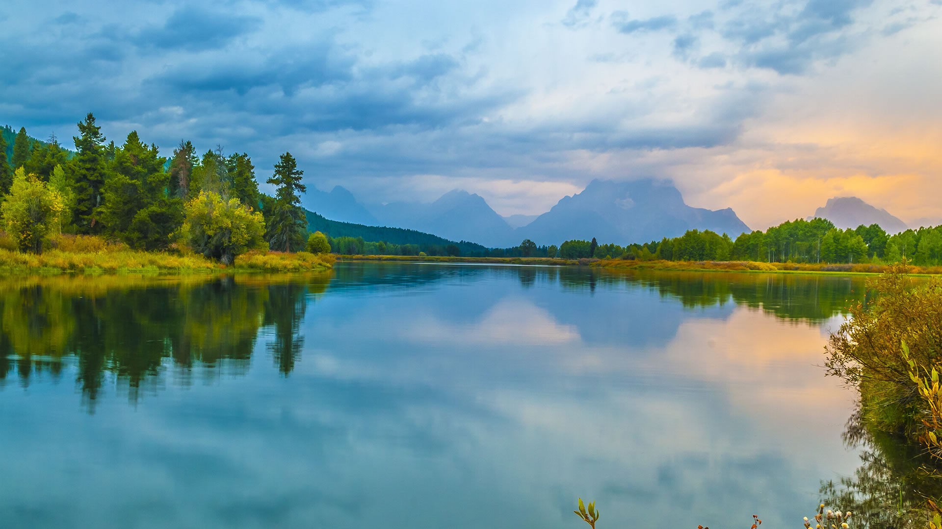 Elite Therapy Elite Therapy